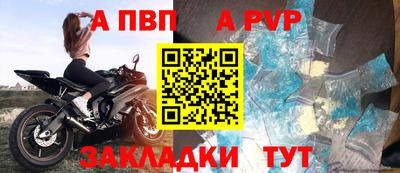 шишки Славгород