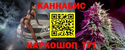 шишки Славгород