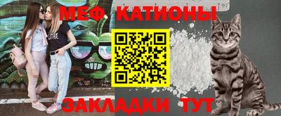 шишки Славгород