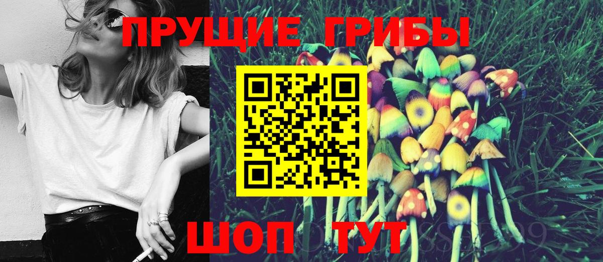 Псилоцибиновые грибы GOLDEN TEACHER  Вход с VPN  цена   Альметьевск 